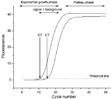 Figure 4: Real-Time PCR curve 