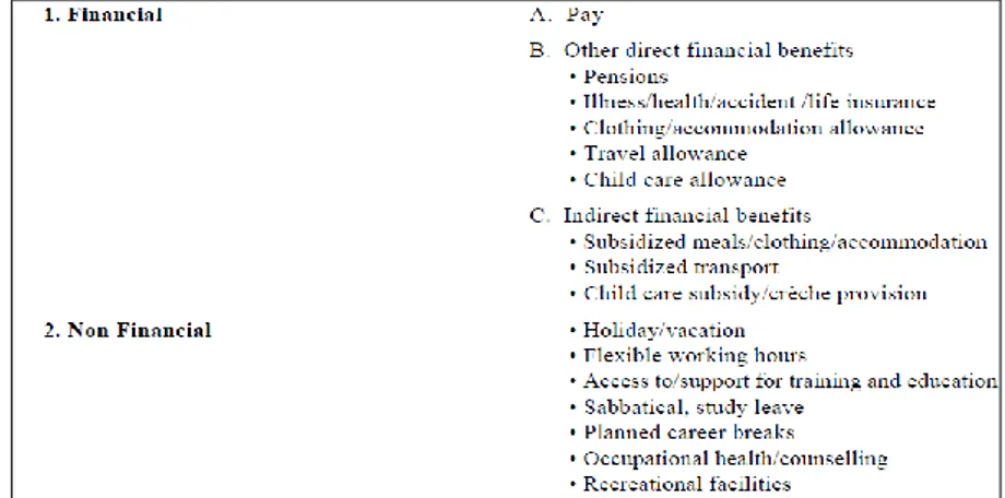 Figura 6.3 - Tipologie di Incentivi, tratta da: Pay and Non-pay Incentive - Performance and Motivation, pre- pre-pared for WHO’s December 2000 Global Health Workforce Strategy, 2000  