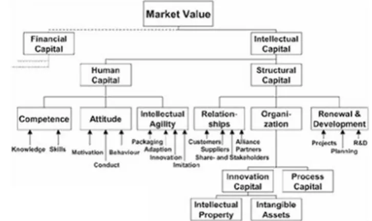 Figura  2.1 –  Struttura  logica  del  Capitale  Intellettuale  (fonte:  Goran  Roos  - Intellectual   Capital Services Ltd) 