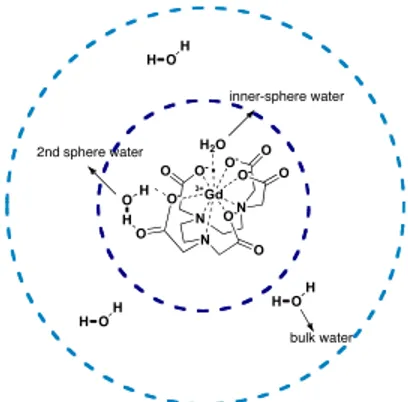 Figure 9: water molecules of inner and outer sphere coordinated to a Gd-
