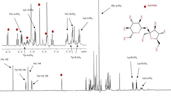 Fig.  1-    1 H  NMR  spectrum  of  a  mixture  with  assignment  of  the  resonance  of  several  metabolites