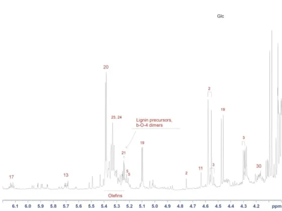 Fig. 8C :   Expansion in the range 6.2-4.0 ppm of the  1 H-NMR spectrum shown in Fig. 8A (Y-magnification 