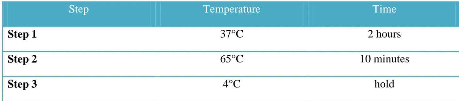 Table 3: DNA labeling using a thermal cycler. 