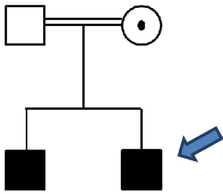 Fig. 4: Pedigree of the family; the proband is indicated by an arrow.