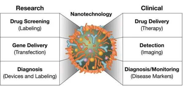 Figure 1.Research and clinical approaches of Nanomedicine. 