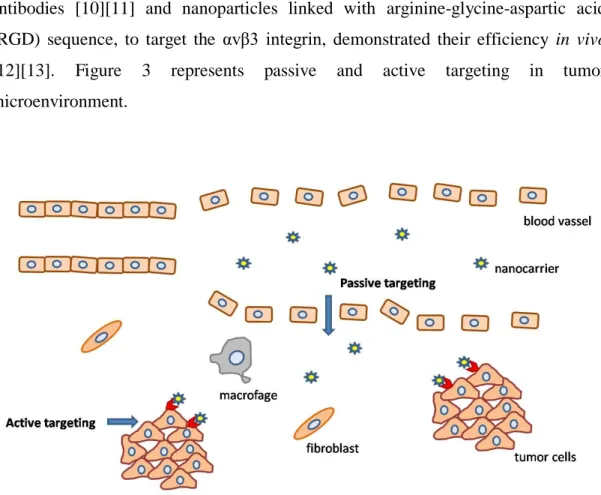 Figure  3.  Representative  chart  of  the  role  of  endothelial  fenestration  in  enhancing  passive  transportation in the tumor microenvironment and the role of tumor targeting molecules in developing  selective nanocarriers