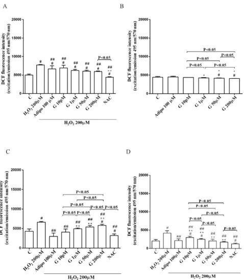 Figure 6. Effects of genistein on ROS production in pre-adipocytes, cultured in peroxidative (A) and  physiological (B) conditions, and in white (C) and brown (D) adipocytes