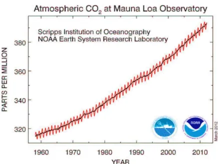 Figure 2. The increment of CO 2  concentration during the period 1958–2010 (at Mauna Loa Observatory), in 