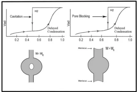 Figure 4. Schematic illustration of pore blocking and cavitation controlled evaporation