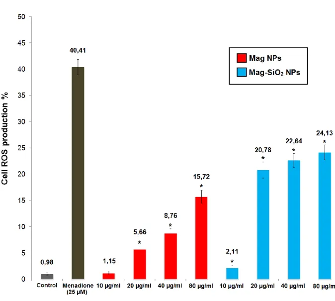 Figure 13. Effect of MNPs on the generation of ROS. Cells were treated with a designated concentration of 