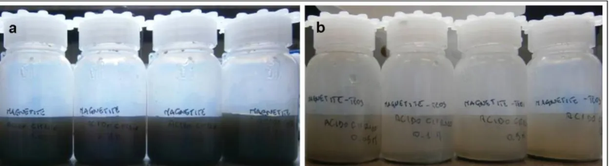 Figure  17.  a)  citric  acid  treated  magnetite  nanoparticles,  b)  citric  acid  treated  SiO 2 -coated  magnetite 