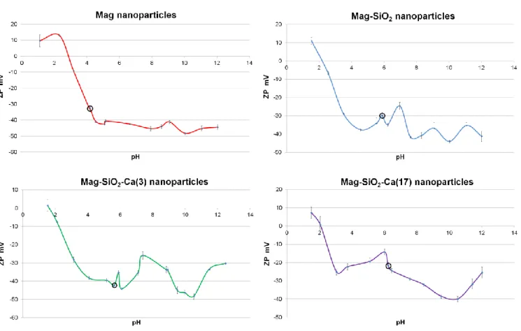 Figure 23. Zeta Potential measurements of MNPs. Data are shown as the mean ± standard deviation (n = 3)