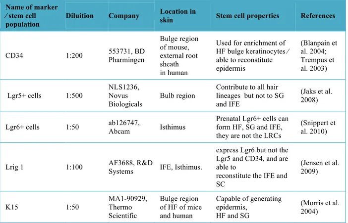 Table 1. Complete list of stem cell markers used in the whole mount protocol. 