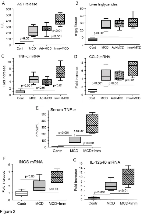 Figure  2:    The  induction  of  immune  responses  against  oxidative  stress-derived  antigens  worsens  liver injury  and  inflammation in  C57BL/6  mice with  NASH induced  by  feeding  a  methionine-choline deficient (MCD) diet