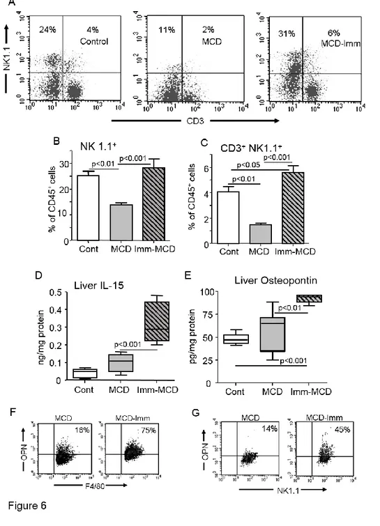 Figure 6:  Increased severity of NASH in immunized mice associates with the recruitment  and activation of hepatic NKT cells