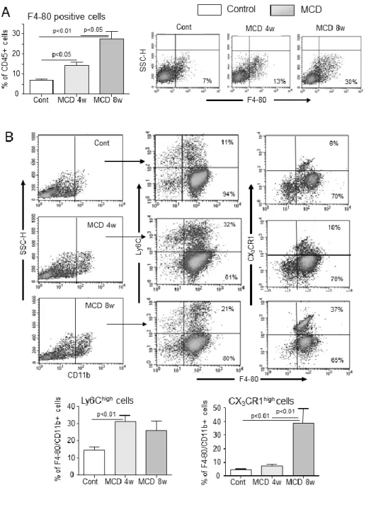 Figure  1.  Changes  in  the  hepatic  recruitment  of  Ly6C high   and  CX3CR1+  monocyte-