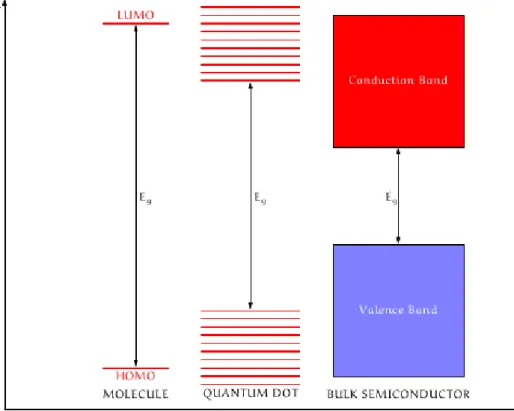 Figure 1.4: Electronic structure transitions from bands to discrete levels and the band gap increases, as particle size decreases.