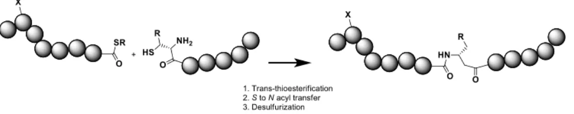 Fig. 3 Chemical ligation based preparation of glycoconjugates 
