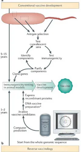 Fig. 9 Comparison between conventional approach and Reverse Vaccinology 