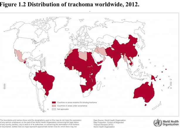 Figure 1.2 Distribution of trachoma worldwide, 2012.  