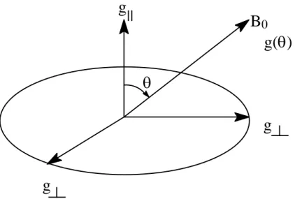 Figura 15 - Andamento del valore di g in sistemi a simmetria assiale 