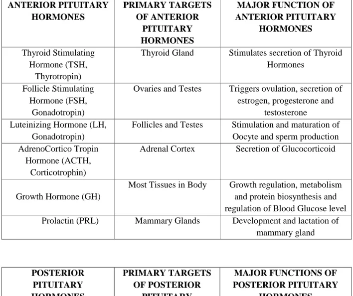 Table 1: List of Pituitary Gland Hormones and their Target and Major Functions. 