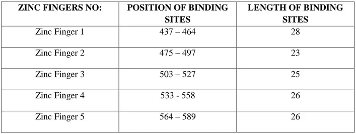 Table 5: GLI2 Zinc Finger positions and length of binding site.  