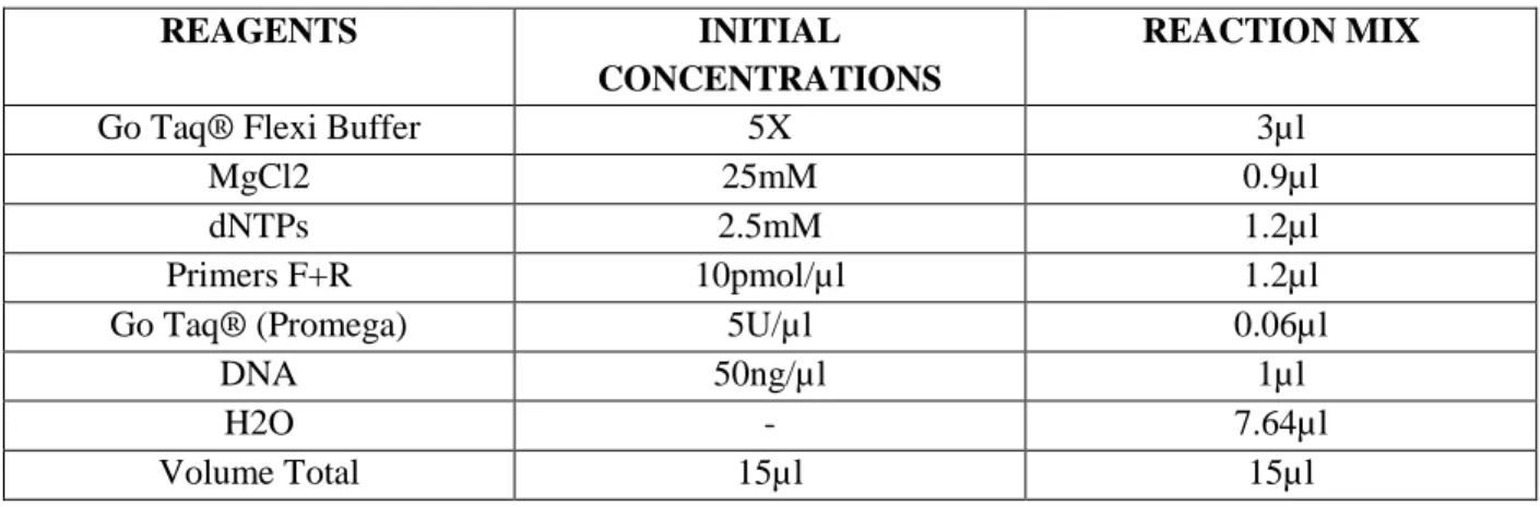 Table 7: Reagents used for Polymerase chain reaction fragments 1-18 except 4 and 13.2