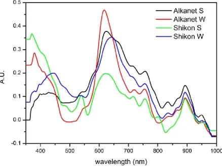 Figure  3.14:  first  derivative  spectra  calculated  from  the  reflectance  spectra  recorded  on  purple  reference  samples:  alkanet,  silk  (black  spectrum);  alkanet,  wool  (red  spectrum);  shikon,  silk  (green  spectrum);  shikon,  wool  (blue