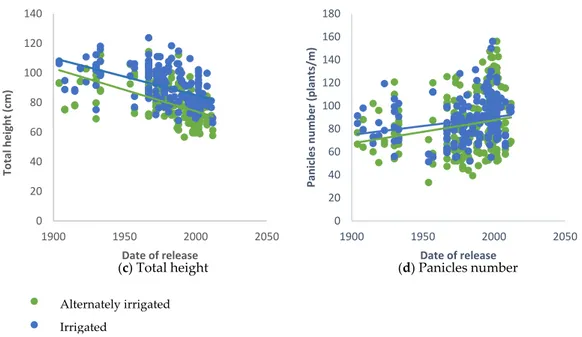 Figure 2. Distribution of varietal means (90 varieties) along the date of release for irrigated (blue) and  alternately irrigated (green) conditions for (a) Yield, (b) 50 panicles weight, (c) Total height, (d)  Panicles number