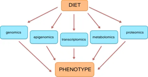 Figure 1. Dietary factors may interact with multiple biological processes. Nutrients interact with genes and alter 