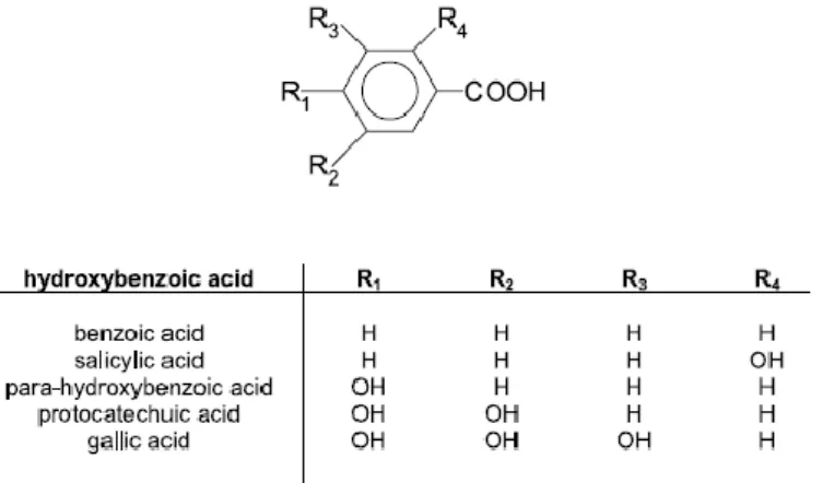 Figure 6. The general structure of hydroxybenzoic acid derivatives with a general structure C6C1   