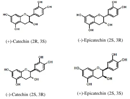 Figure 11. Structure of the catechin/epicatechin enantiomers 