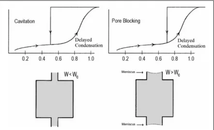 Figure 1.5: Schematic illustration of pore blocking and cavitation controlled evaporation