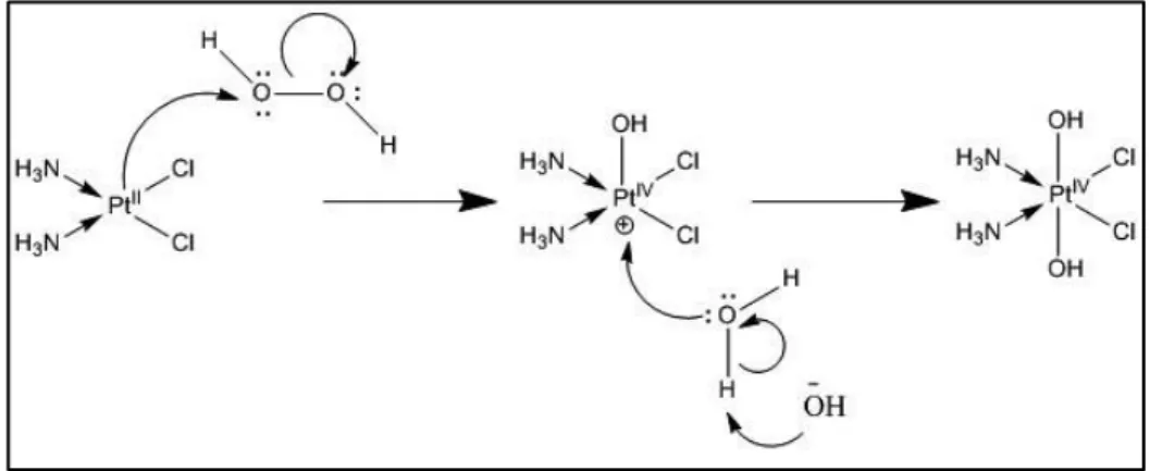 Figura 1.13: Meccanismo di ossidazione di Pt II  con H 2 O 2  in acqua 