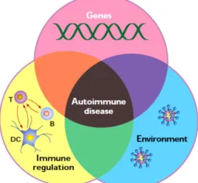 Figure  1.  Factors  contributing  for  the development of Autoimmunity  [4]. 