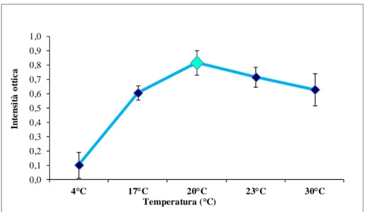 Fig.  4.  Dipendenza  dalla  temperatura  dell’attività  della  Ca 2+ -ATPasi  nelle  cellule  del  tessuto  intestinale  di  E