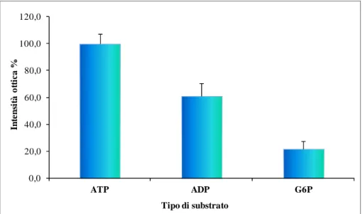 Fig. 8. Specificità del substrato per la Ca 2+ -ATPasi nelle cellule del tessuto intestinale di E