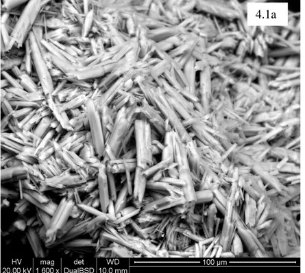 Figura  4.1a:  Erionite  Oregon  osservata  in  SEM  tramite  rilevatore  di  elettroni retrodiffusi