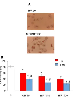Figure 1: Effect of Palmitic Acid supplementation  on hypoxia/reoxygenation (H/R) injury of primary  mouse hepatocytes  