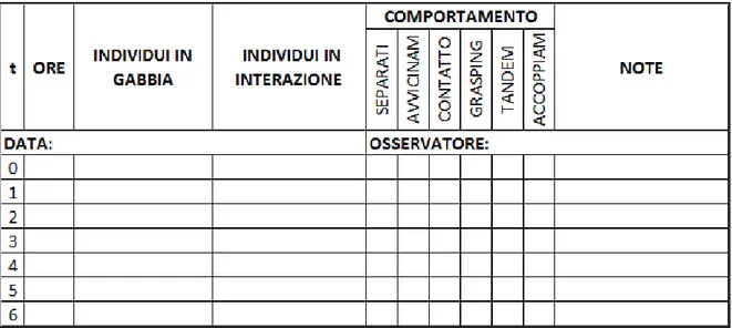 Figura 7: tabella utilizzata per test di scelta