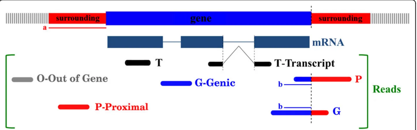 Figure 2 Read to gene assignment confidence. Reads are assigned to genes with three different levels