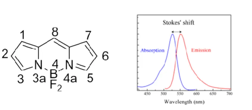 Figure  10.  The  structure  and  numbering  of  the  BODIPY  fluorophore,  4,4-difluoro-4-bora-3a,4a-diaza-s-