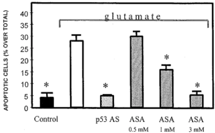 Figure 1 Prevention of glutamate-induced apoptosis in primary cerebellar neurons by a p53 antisense oligonucleotide (p53 AS) and aspirin (ASA)