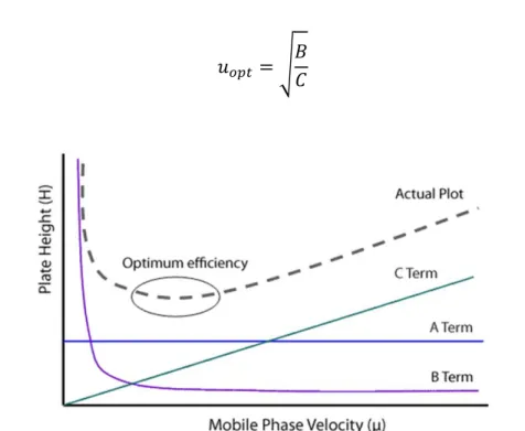 Figure  1.2:  relationship  between  mobile  phase  velocity  and  efficiency  expressed  as  the  height  of  theoretical plates