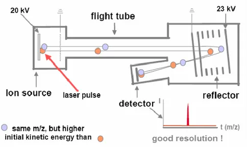 Figure  1.18:  scheme  of  a  mass  spectrometer  equipped  with  a  time  of  flight  (TOF)  analyzer  in  reflectron mode
