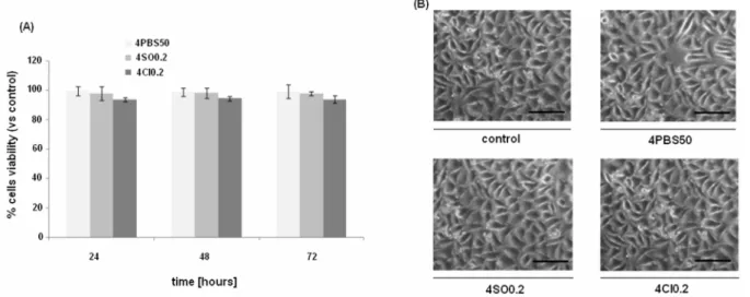 Figure 7 A-B. In vitro cytotoxicity evaluation results. (A)  Cells viability after 24, 48 and 72 h after seeding in contact  with hydrogel eluates; at each time-point, viability values were comparable between control and tested samples and no  statisticall
