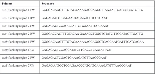 Table 2. Sequence of primers for knoching out esxA and esxB gene. 