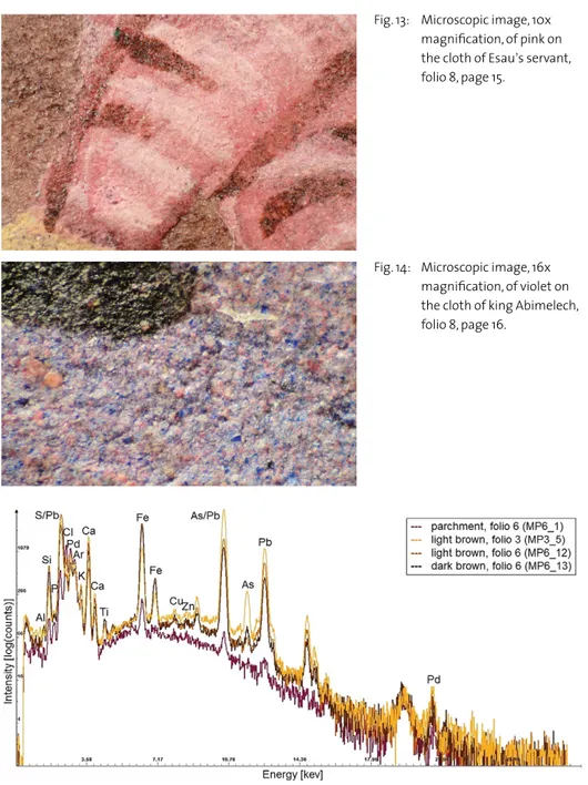 Fig. 13:   Microscopic image, 10x  magnification, of pink on  the cloth of Esau’s servant,  folio 8, page 15.