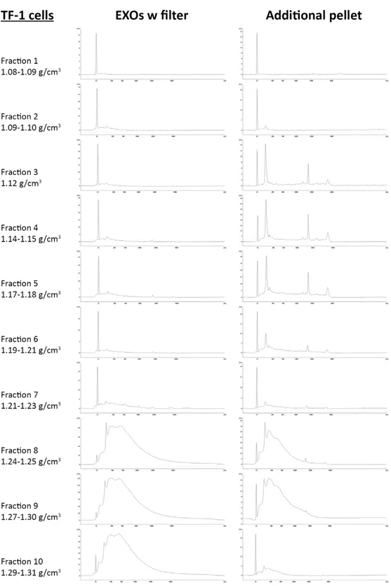 Fig.  10:  RNA  profiles  from  ten  fractions  obtained  loading  “EXOs  w  filter”  and 